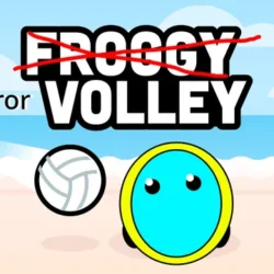 Play Mirror Volley